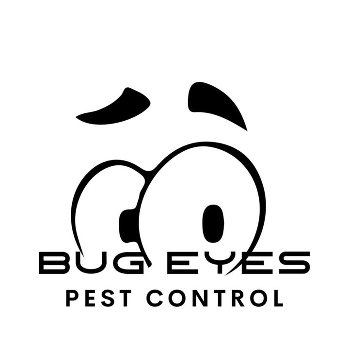 BugEyes Pest Control team in action, providing comprehensive pest solutions.