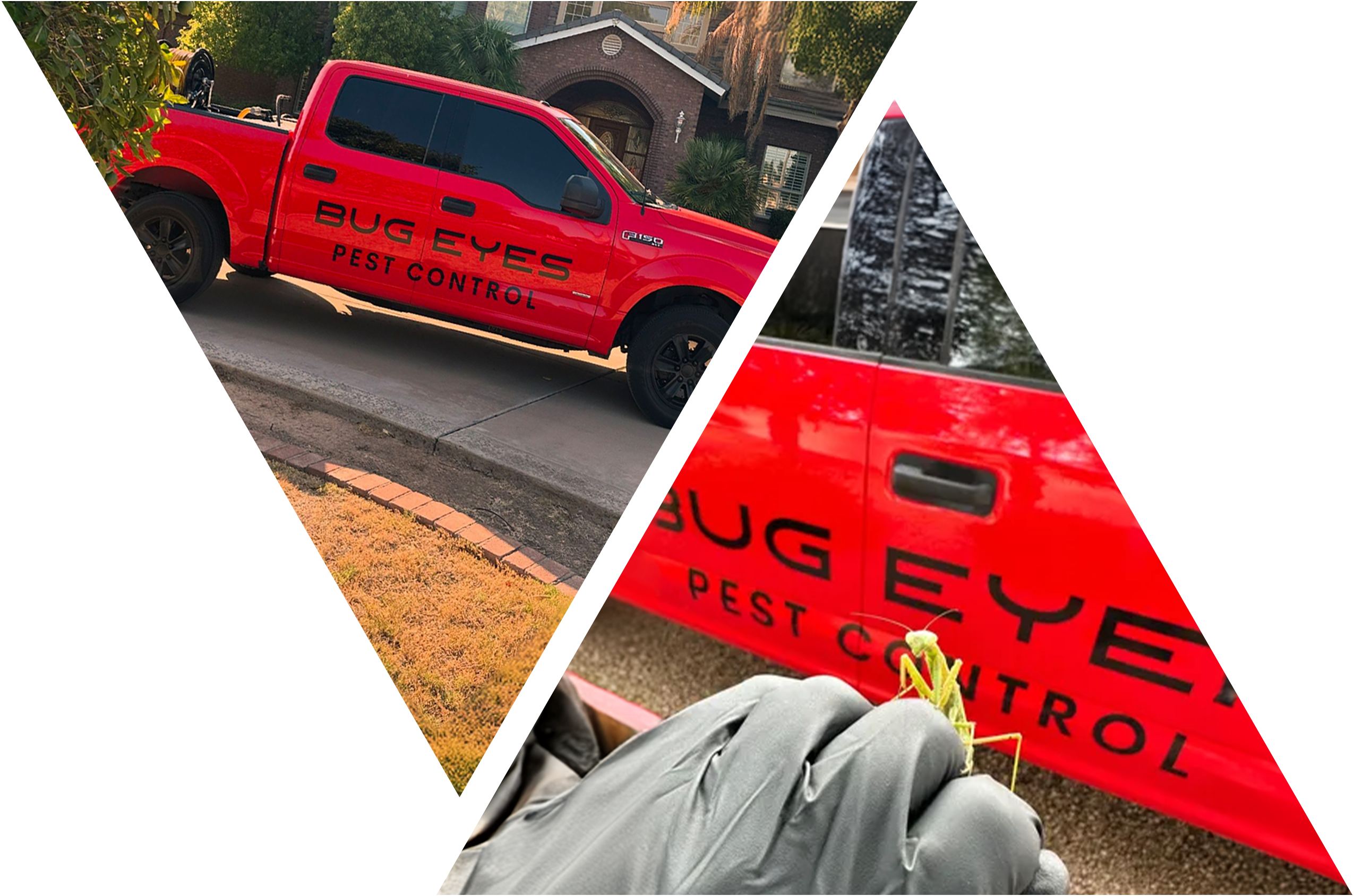 BugEyes stands out with eco-friendly practices and expert solutions in Queen Creek.