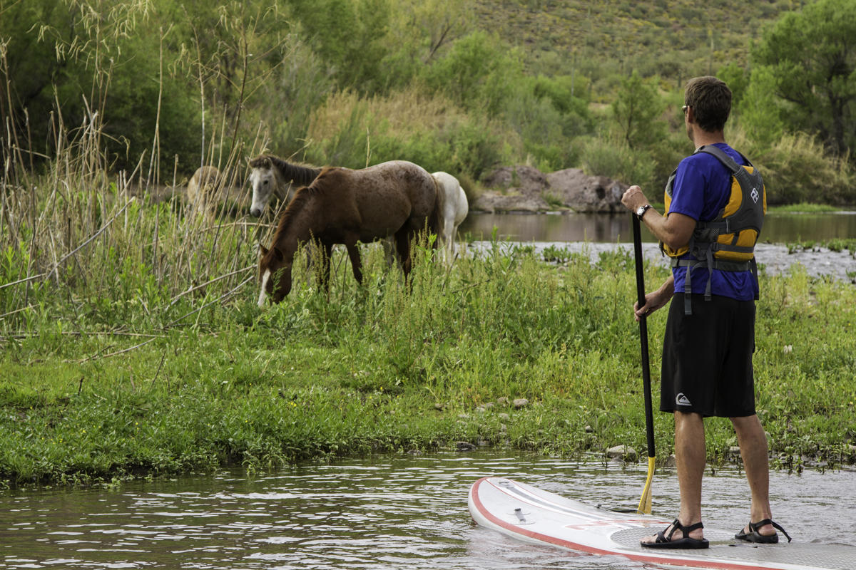 Relax and enjoy activities like paddleboarding at the shaded chill area after your Salt River float.